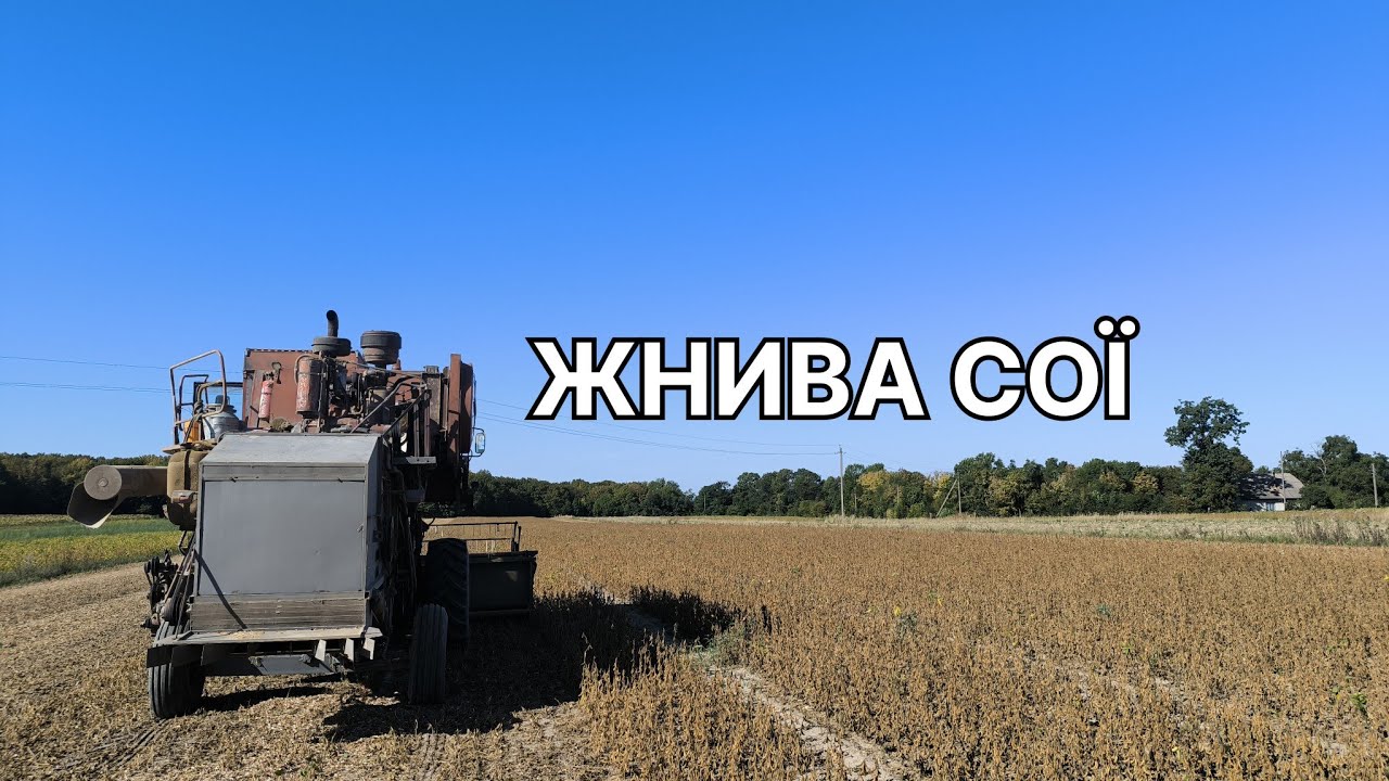 Другий день жнив сої, невеликі підсумки Вінницька область.