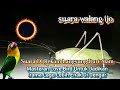 Suara Walang Godong Dengan Tempo Dan Jeda Khusus Masteran Lovebird Paud Suara Langsung Dari Alam Mp3 - Mp4 Download
