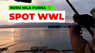 BURU NILA BABON WADAS LINTANG‼️ Strike Bertubi-tubi Sampai Lupa Waktu 🎣😱 #wadaswaduklintang