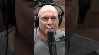 Why Porsche 911 Have Rear Seats ?