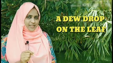 Std 1 English Unit 1 Class 05  White Board VI