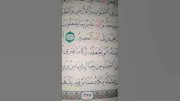 ما معنى كلمه "سنا"#سورة #النور