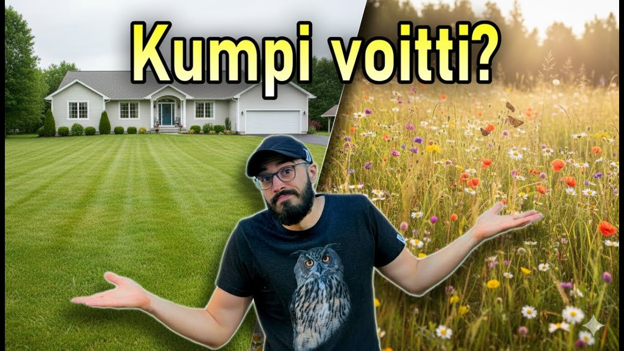 Hoidettu vs villi nurmikko – kumpi kannattaa valita? (huonoja uutisia)