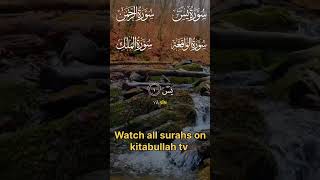 The Beauty of Surah Yasin 🤍#Quran #IslamicShorts #SurahYasin