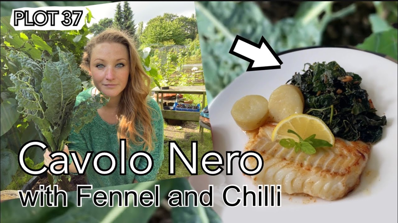 Cavolo Nero with Fennel Seeds and Chilli || Plot 37 - YouTube