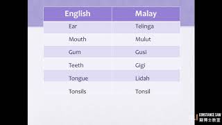 Common Medical Terms English To Malay Part 1 常用医学术语 英语到马来语第1课 第1部分 Youtube