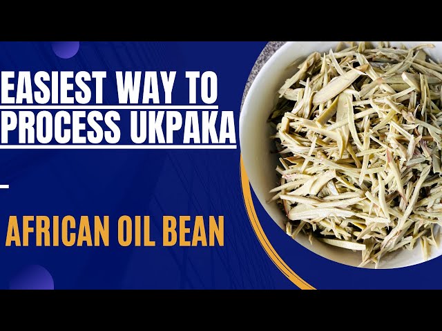 Easiest way to process Ukpaka (AFRICAN OIL BEAN) #Howto #ukpaka #africanoilbean #ugba #realebista class=