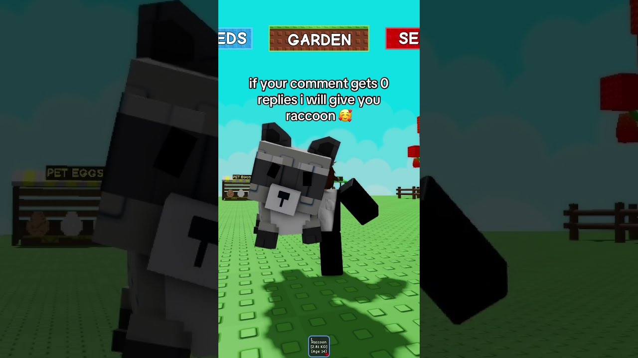 Giving Away My Raccoon Growagarden Roblox