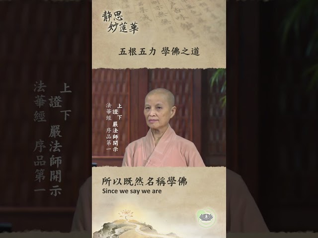 🏯【靜思妙蓮華｜第105集：五根五力 學佛之道】