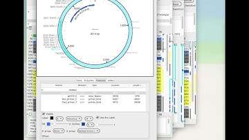 ApE Tutorial Video #11 - Configuring graphic maps