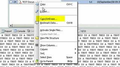 Computer Forensics: Recovering Deleted Files With Encase