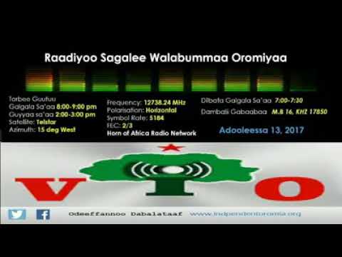 RSWO Adooleessa 13 2017 ODUU ARGAAF DHAGEETTII FI DHAAMSA RSWO ODUU Kaffaltii Gibiraa Mootu 
