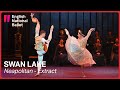 Swan lake neapolitan extract  english national ballet