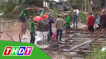 Việt Nam đứng thứ tư thế giới về xuất khẩu thủy sản | THDT