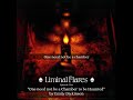 Liminal flares episode 10 one need not be a chamber to be haunted by emily dickinson