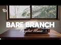 Bare Branch Sessions 🌿 | Lofi Indie Beats for Minimalist Focus &amp; Reflection
