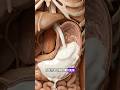 What Happens Inside Your Body When You Eat Greek Yogurt Everyday? #humanbody #shorts #animation
