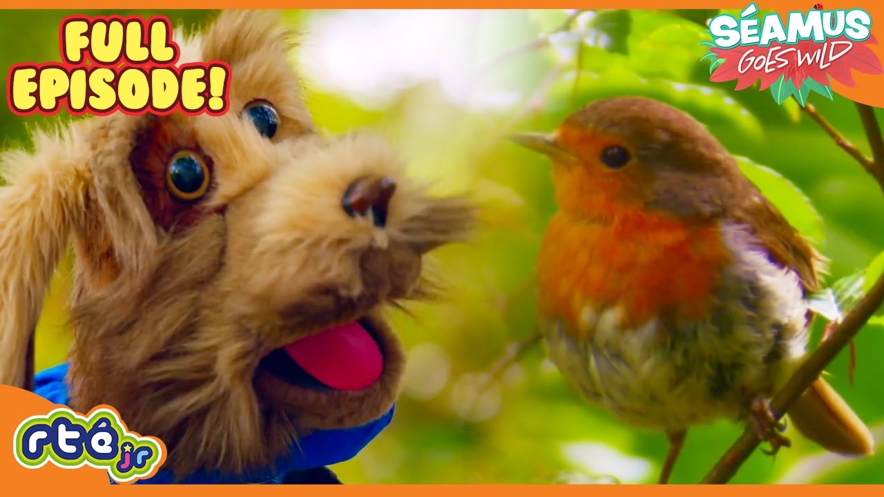 ⭐️ NEW ⭐️ Séamus Goes Wild | Season 1 Episode 1 | 🦊 Full Episode 🐴 | 