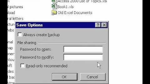 Microsoft Office Excel 2000 Password protect workbook