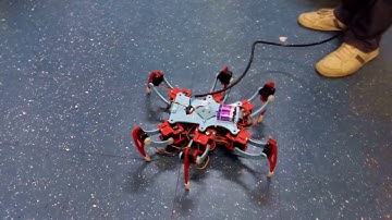 Hexapod (2015)