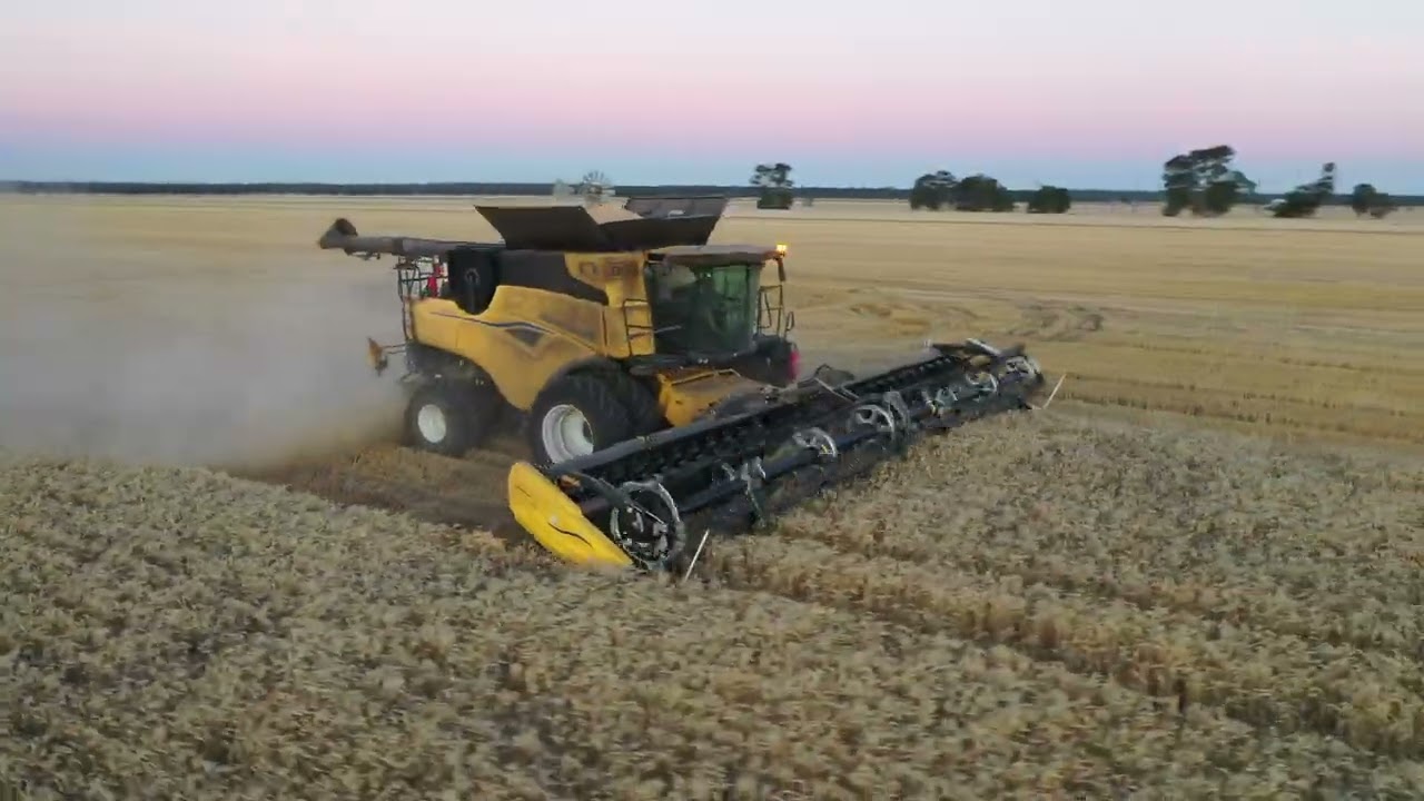 Australian Grain Harvest - South Australia