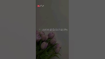تلاوة خاشعة للشيخ ياسر الدوسري 🎧❤️‍🩹 #أرح_سمعك_وقلبك #اكسبلور #طمئن_قلبك #ياسر_الدوسري