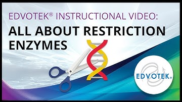 Edvotek Instructional Video: All About Restriction Enzymes