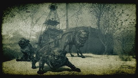 The Pseudodog Incident