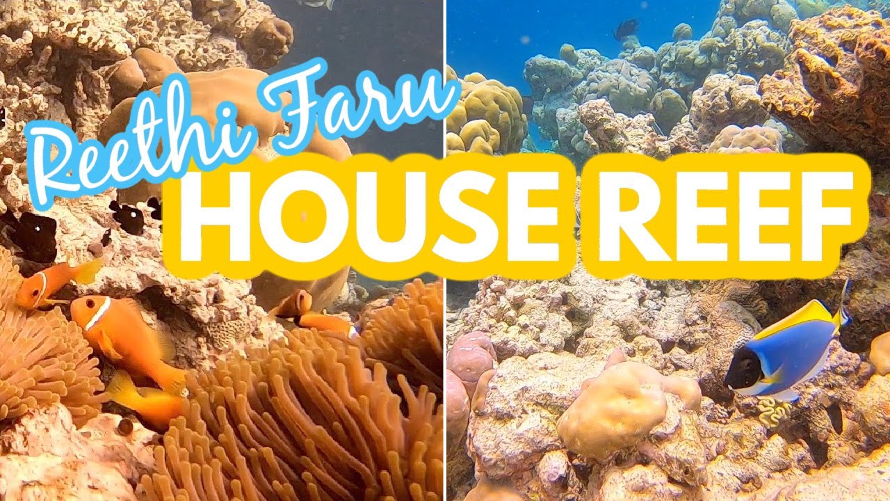 Reethi Faru House Reef