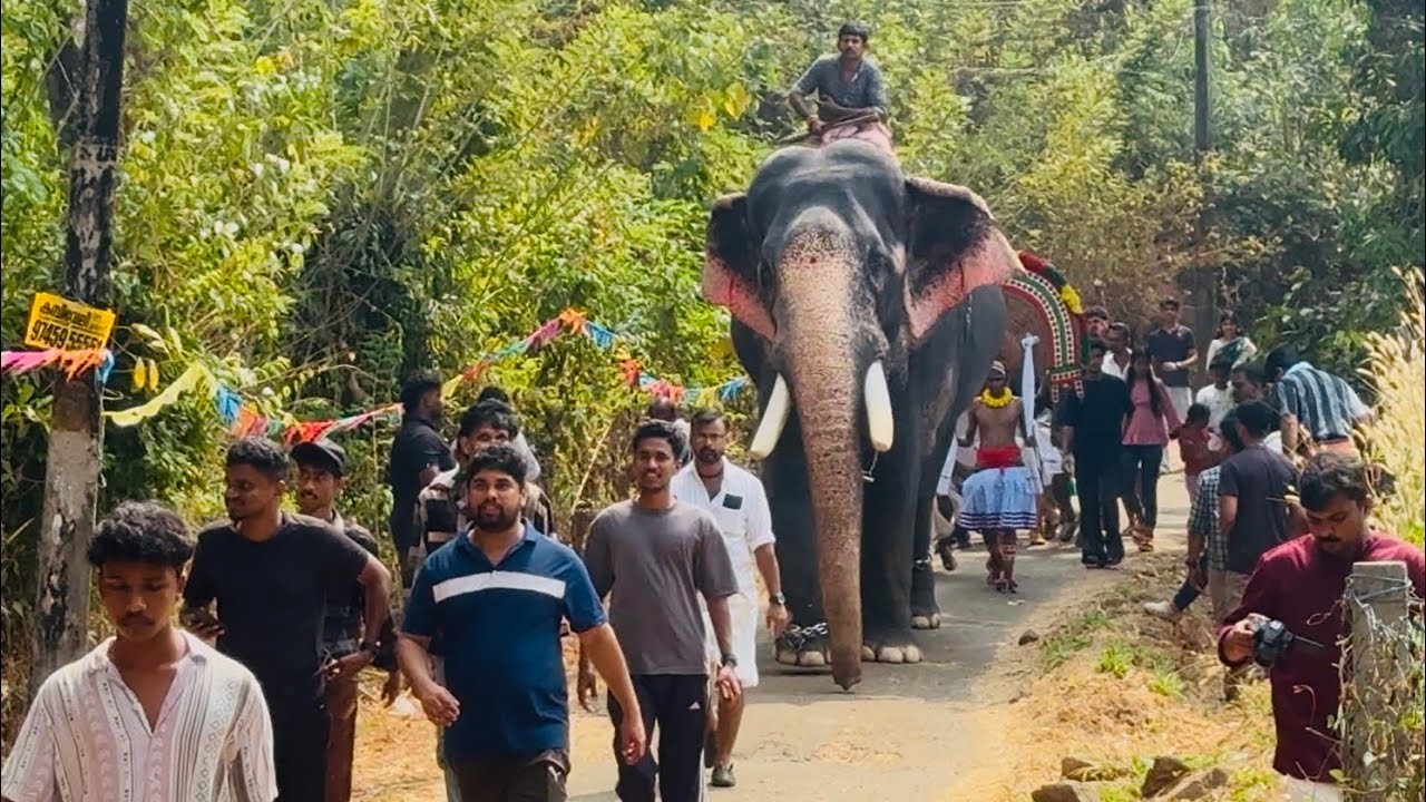 ദാസപ്പൻ ഇറങ്ങിയ ആദ്യ പരിപാടി വാണിയംകുളം കോതയൂർ