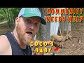 COCO HAD HER BABY!!! HELP THE COMMUNITY!!!