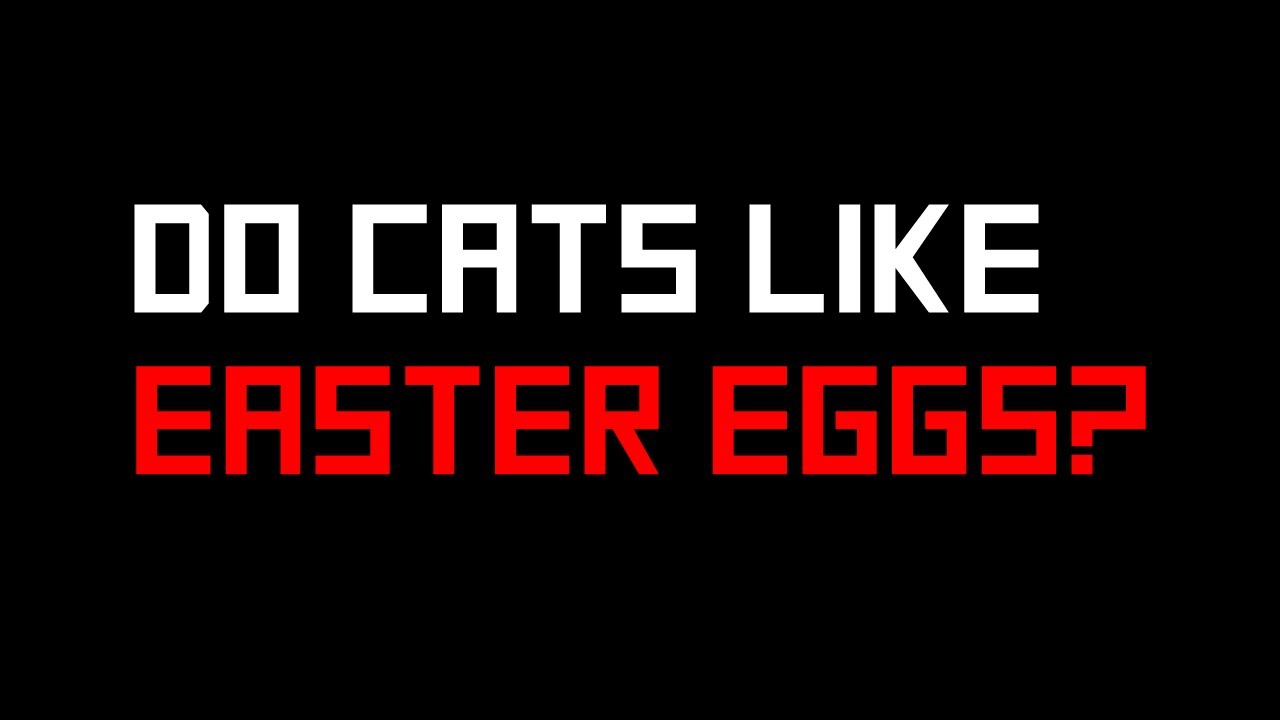 Do Cats Like Easter Eggs? YouTube