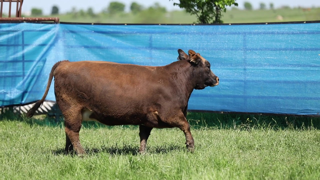 Warner Tag 134 YouTube