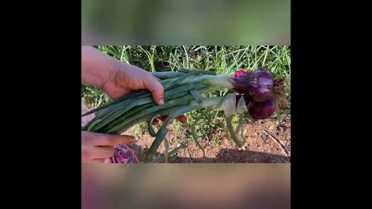 تحضير خبز الشحمة المعروف في منطقة الراشيدية