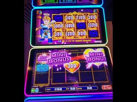 THE KING OF FRUITY TREATS #shorts #funny #fyp #foryou #shortsvideo #casino #slots #memes #video #you
