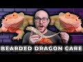 Complete bearded dragon care guide  everything you need to know in 2023