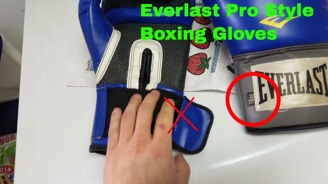 everlast pro style training