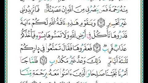 ختمة مصحف التجويد برواية الدوري الصفحة رقم  229