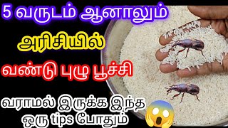 😱90% பேர் தெரியாத அரிசி சேமிப்பு ரகசியம்/ kitchen tips in tamil/reuse tips@kavyayuvavlogs