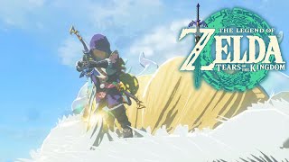 Master Sword | Zelda: Tears of the Kingdom