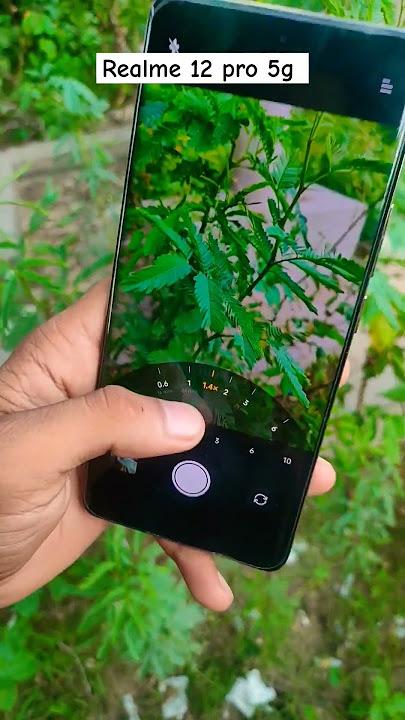realme 12 pro 5g camera test #realme