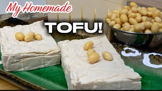 Homemade Tofu from Scratch | How to make Tofu from Soybeans