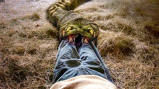 Devorado vivo por una anaconda | Anaconda 3: la amenaza | Clip en Español