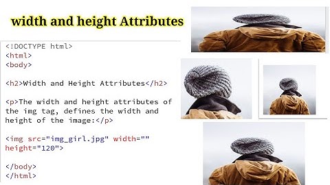 image width and height Attributes in HTML , image in html in hindi  , html tutorial in Hindi