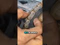 DIY Motorcycle Chain Repair: Installing the Master Link #machine #machinelearning