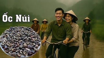 CỨ TRỜI ĐỔ MƯA LÀ CẢ LÀNG KÉO NHAU ĐI TÌM ĐẶC SẢN ỐC NÚI ( Ốc Đá ) - Bùi Văn Trọng