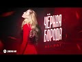 ALI PAT - Черная борода | Премьера трека 2025