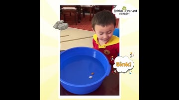 Science Sunday Float or Sink Experiment at BON