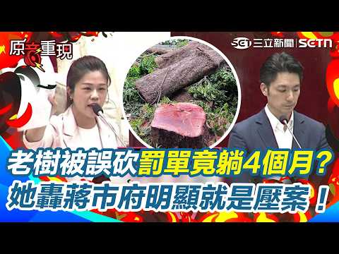【#原音重現】蔣市府吃案？誤砍東門老樹北市府遭爆「罰單5月寫好竟壓到9月」！洪婉臻轟蔣市府：別再拿廠商當擋箭牌…這明顯就是壓案！｜三立新聞網 SETN.com