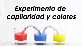 Capilaridad con colores - Experimentos caseros - Ciencia para niños